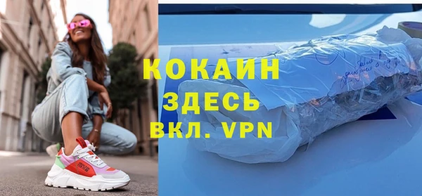 дживик Алексин